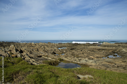 Overlooking the sea