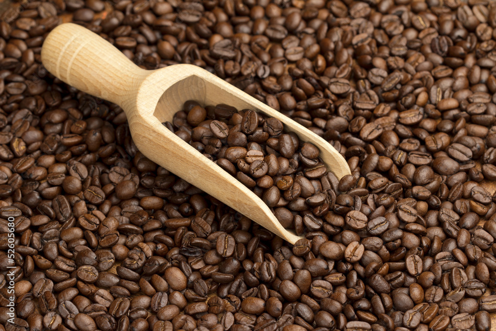 Fototapeta premium scoop of coffee beans