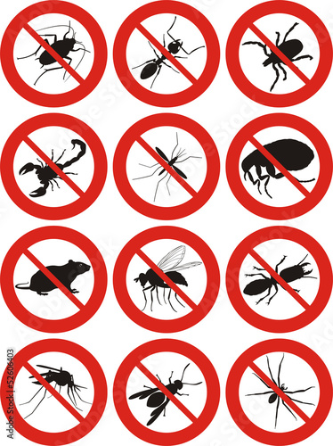 common household pests icon photo