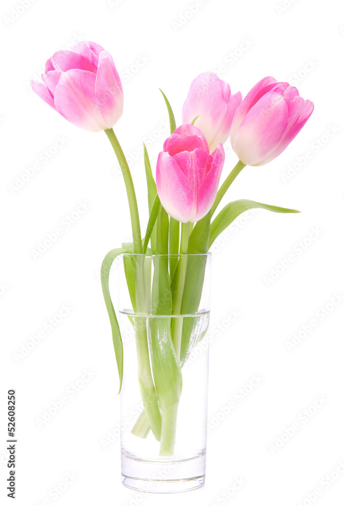 Pink tulips bouquet in vase isolated on white background Pink tulips bouquet in vase isolated on white background