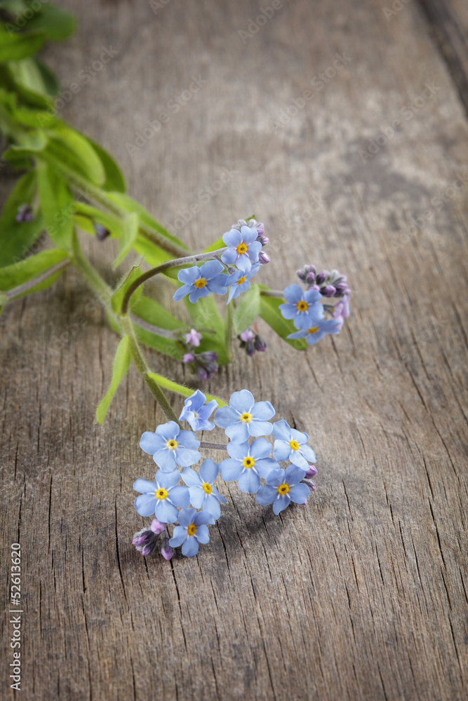 forget-me-nots on wooden table