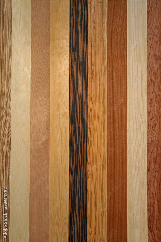 Fototapeta premium Wooden texture palette