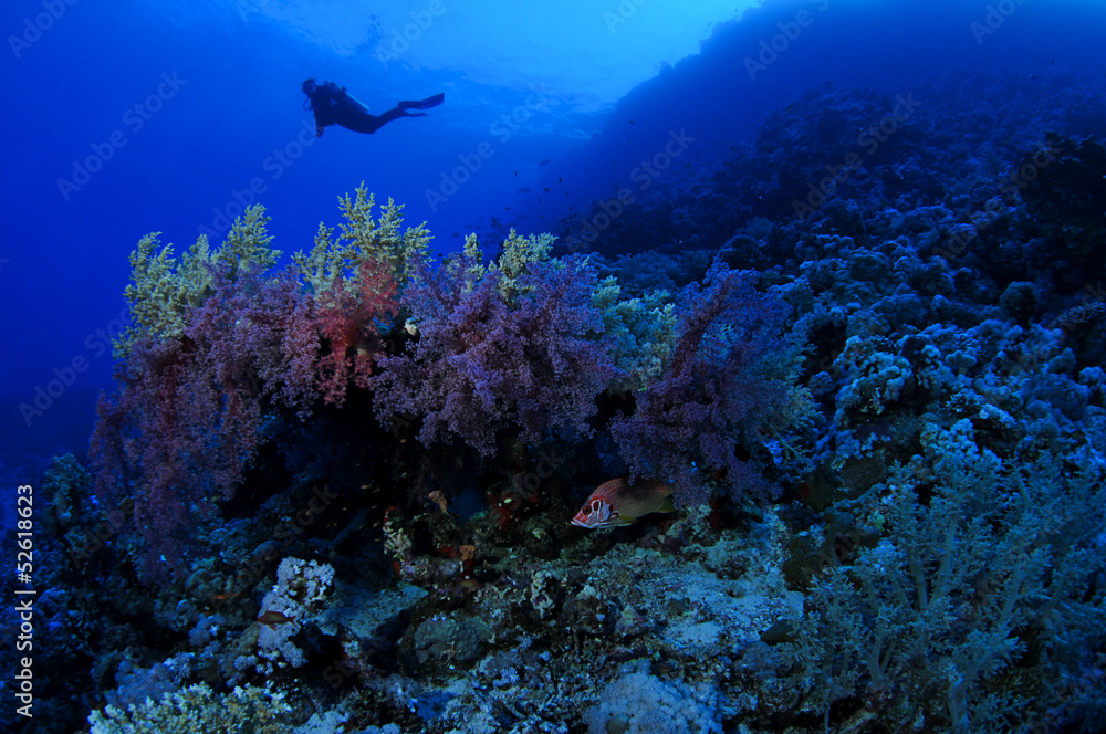 Fototapeta premium Female diver exploring underwater cave