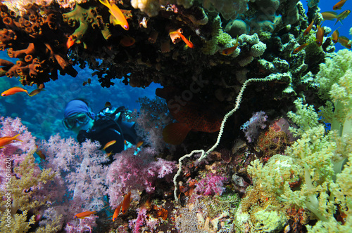 Fototapeta Naklejka Na Ścianę i Meble -  Scuba Diver   Diver in Cave