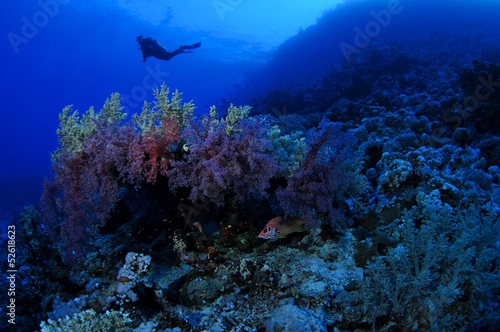 Female diver exploring underwater cave