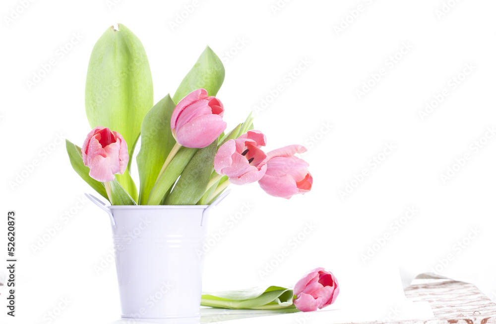 Obraz premium Pink tulips on white background in a bucket