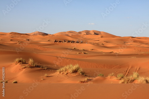 Camel s caravan in the Sahara desert   