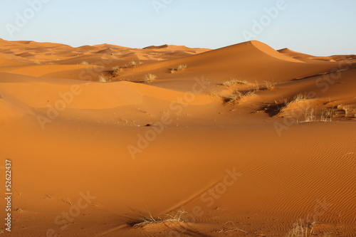 Sand dunes and cloudless sky in Merzouga,Morocco