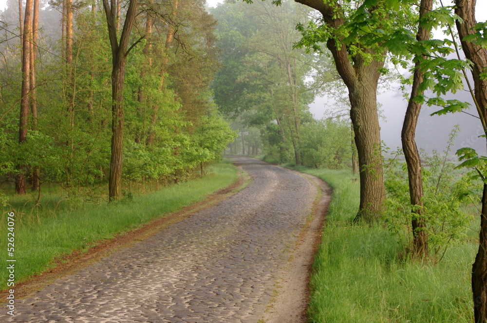 Obraz premium Wiejska droga.