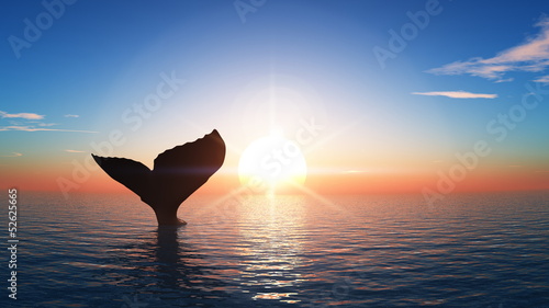 クジラ © tsuneomp