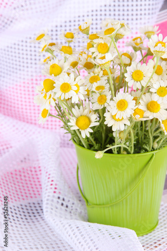 Many chamomile in bucket close-up on light cloth background