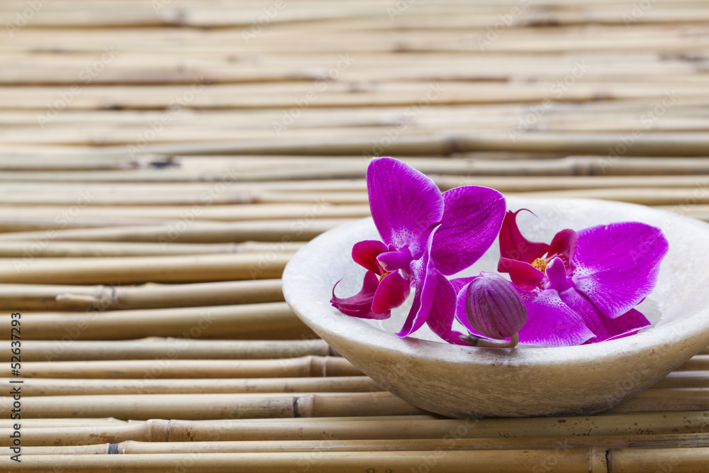 femininity and wellbeing with orchid flowers femininity and wellbeing with orchid flowers