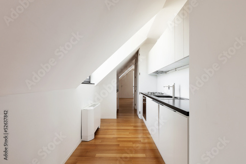 Interior, beautiful loft, hardwood floor, modern kitchen