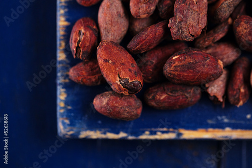 roasted cocoa chocolate beans on dark blue wood background