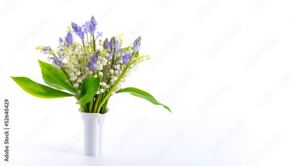 Lily of the Valley and Scilla