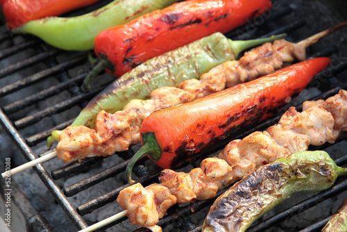 Принти на полотні Shish kebab with red and green peppers on hot grill.