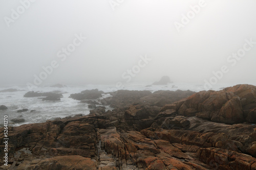 Rocky beach in a foggy afternoon © Zacarias da Mata