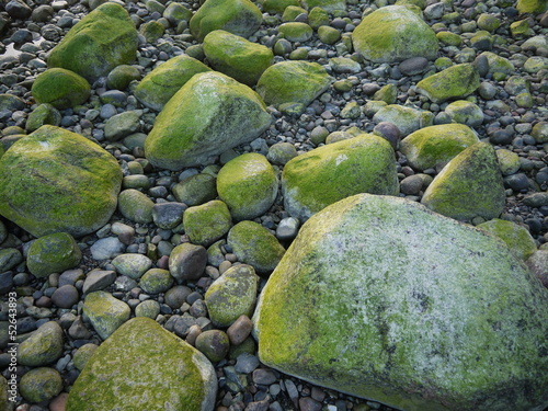 Algige Steine/Insel Rügen