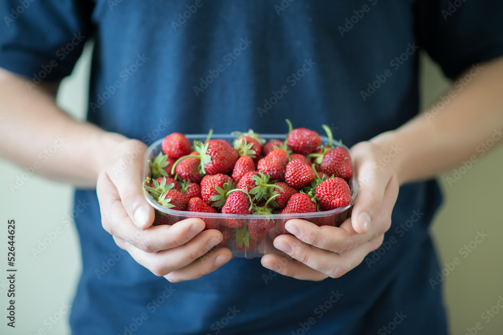 Fresh strawberries in hands Fresh strawberries in hands