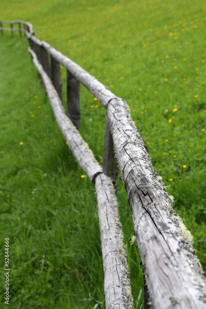 Fototapeta premium Weidezaun