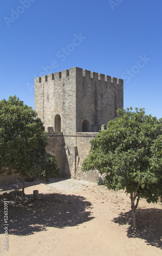 A bit of datailed Wall of a medieval castle photo