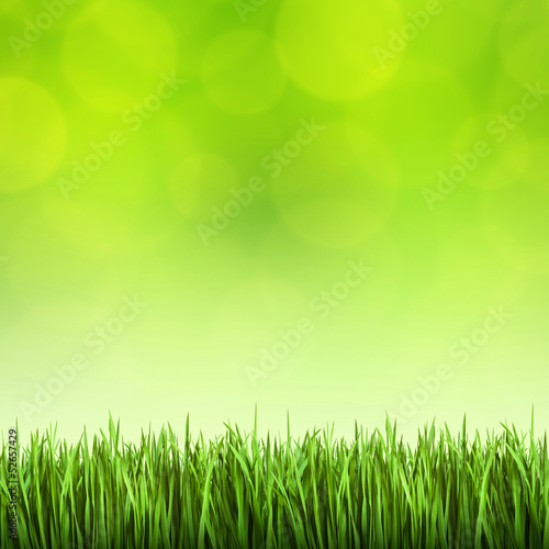 Grass on the green background