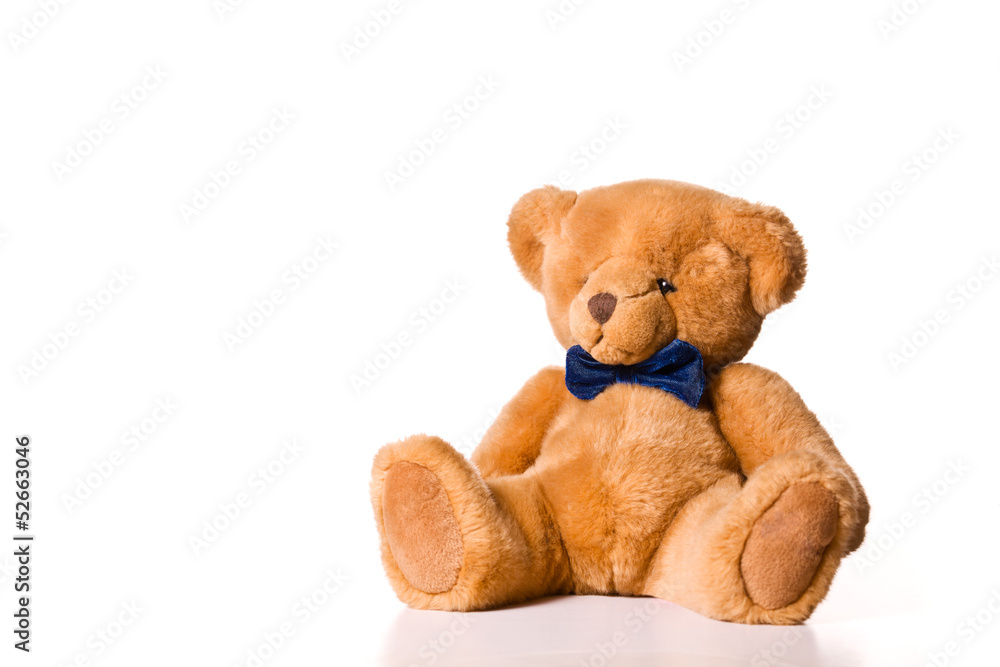 Fototapeta premium Teddy Bear