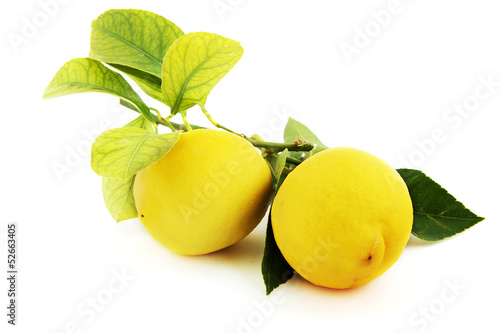 lemon