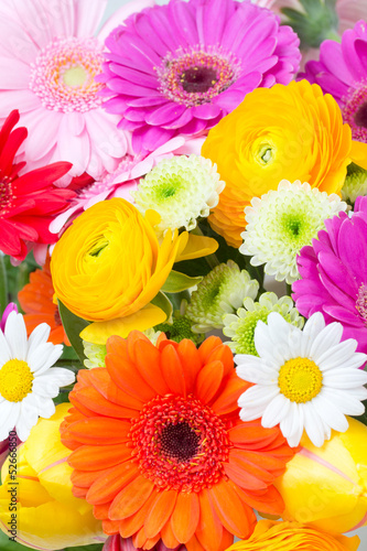 Fototapeta Naklejka Na Ścianę i Meble -  Sommerblumen