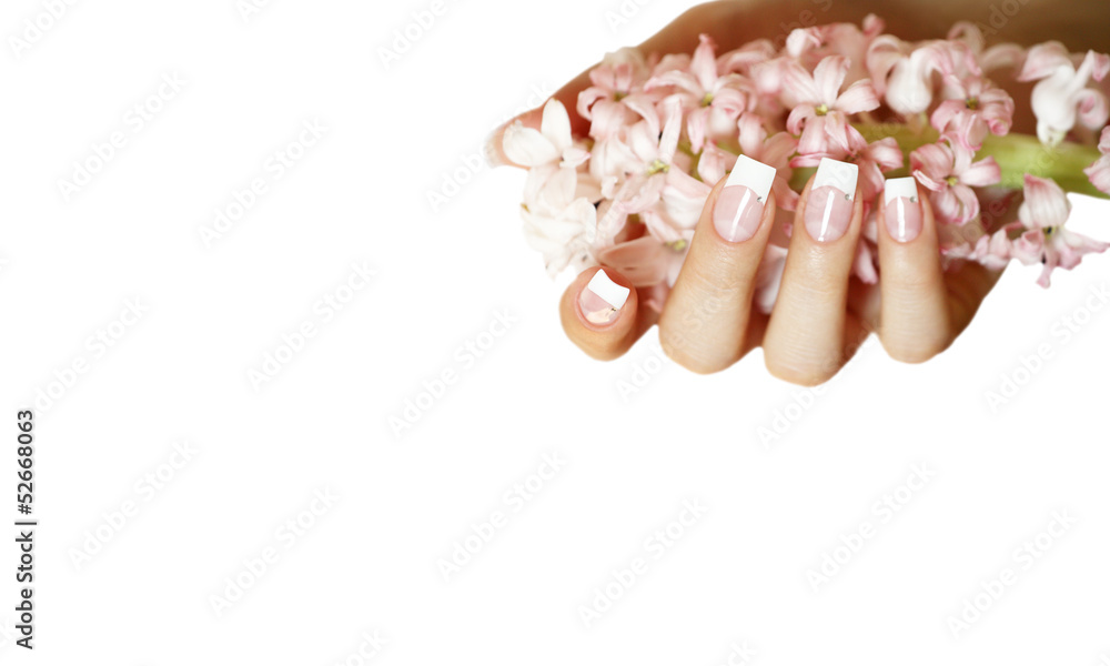 French mit rosa Hyazinthe French mit rosa Hyazinthe