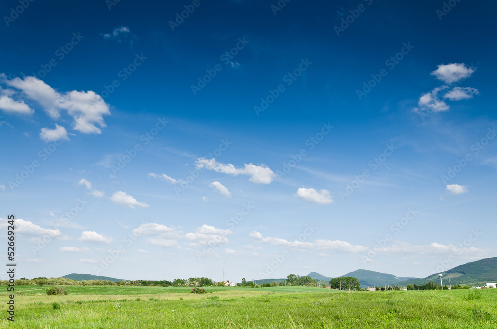 Obraz premium green field background
