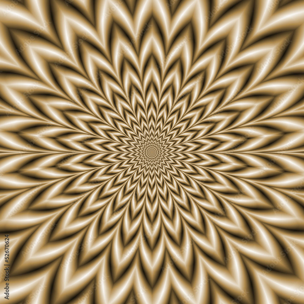 Fototapeta premium Star Flower in Sepia