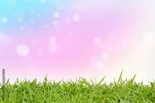 Green grass and abstract background blurring photo