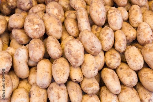 pommes de terre nouvelles au marché
