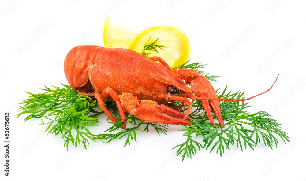 Red cooked lobster with dill and lemon