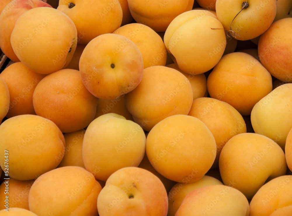 Bunch of apricots Bunch of apricots