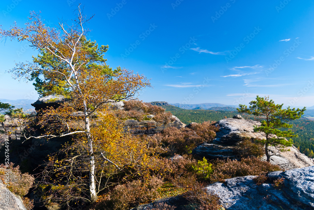Autumn colors at Saxon Switzerland National park Autumn colors at Saxon Switzerland National park