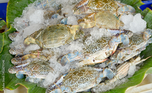 Fresh raw flower crab or blue crab in seafood  market