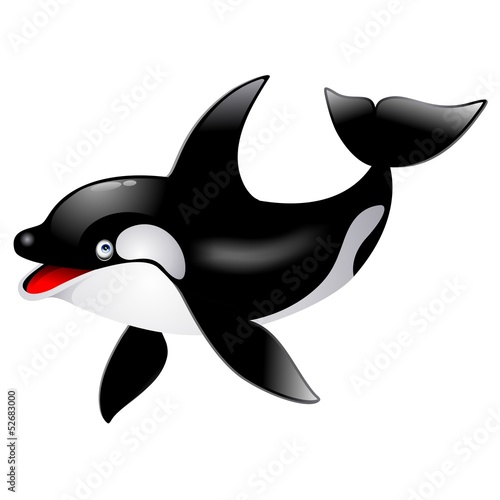 Killer Whale cetacean Orca Cetaceo Cartoon - Vector