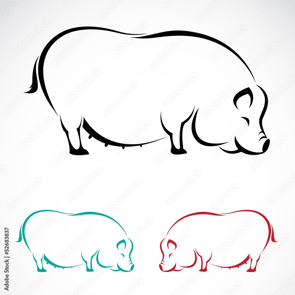 Vector image of an pig on white background Vector image of an pig on white background
