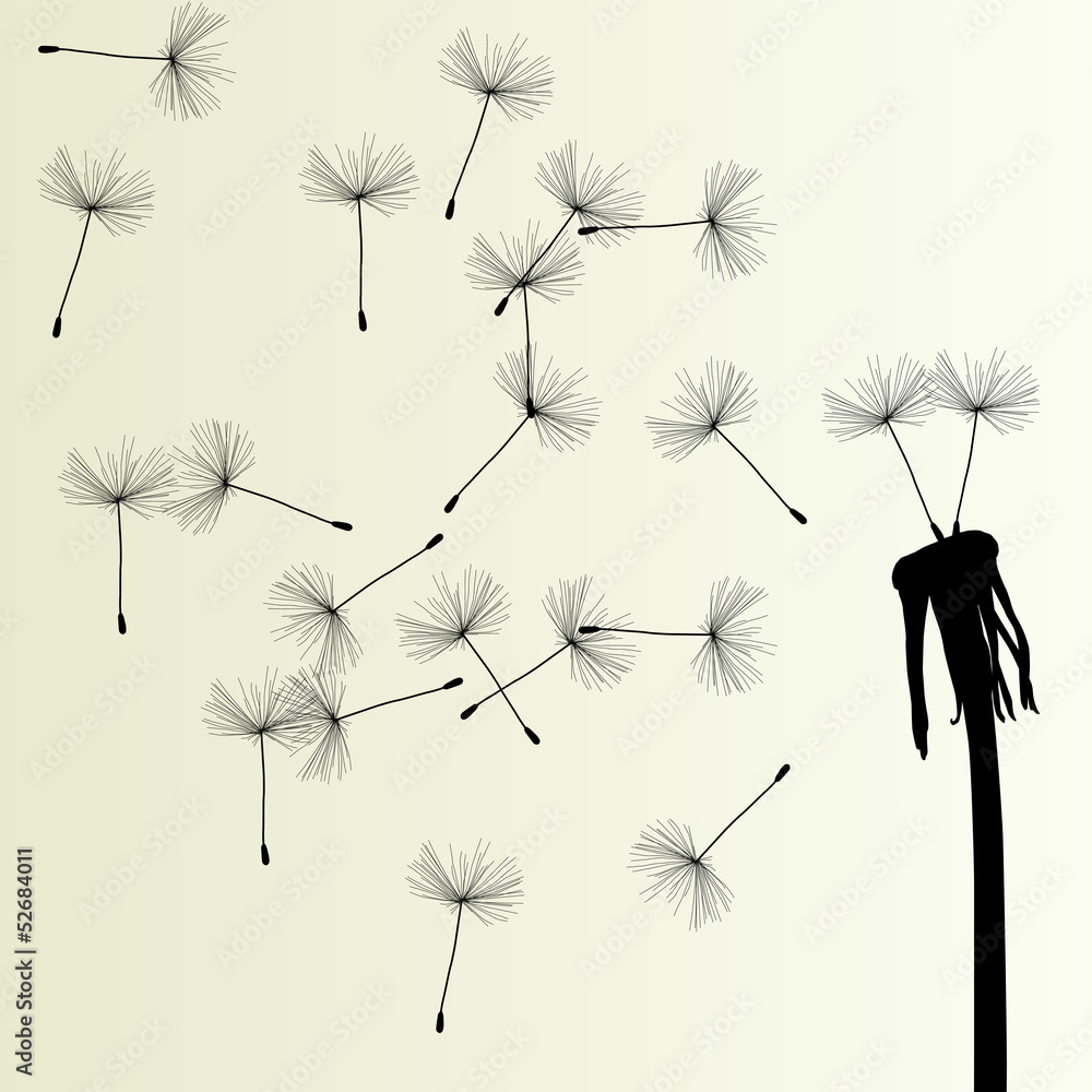 Blow Dandelion vector background