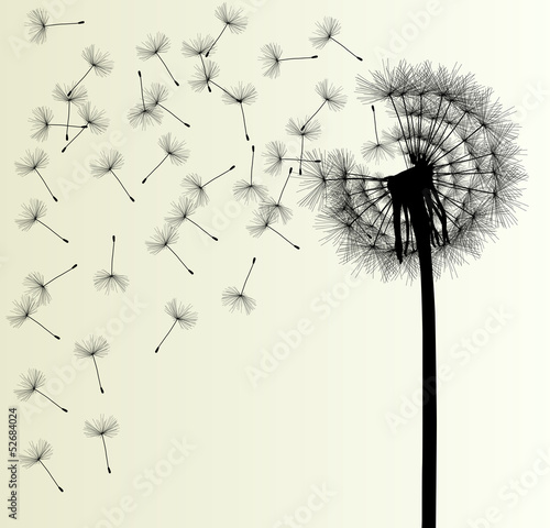 Blow Dandelion vector background