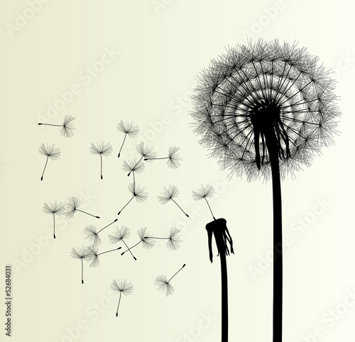 Blow Dandelion vector background