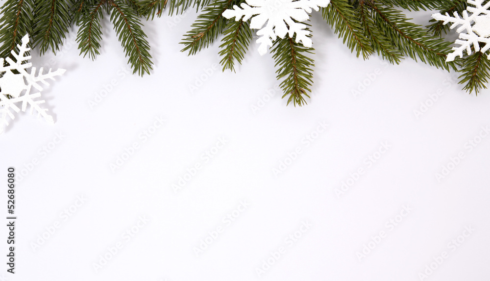 Snowflakes relating to twigs of the spruce Snowflakes relating to twigs of the spruce