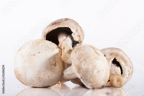 Spoiled rotten field mushrooms