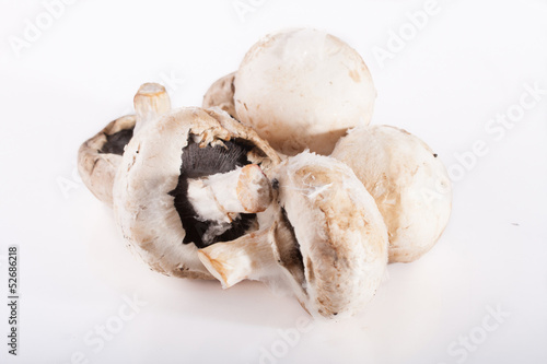 Spoiled rotten field mushrooms