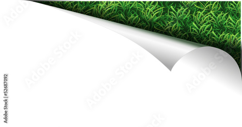 white paper page with grass in curl