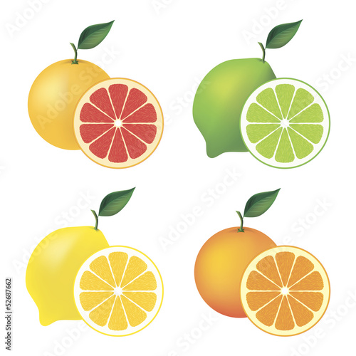 Set of citrus fruit – grapefruit, lime, lemon and orange