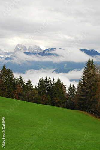 Alm,Tannen,Berge