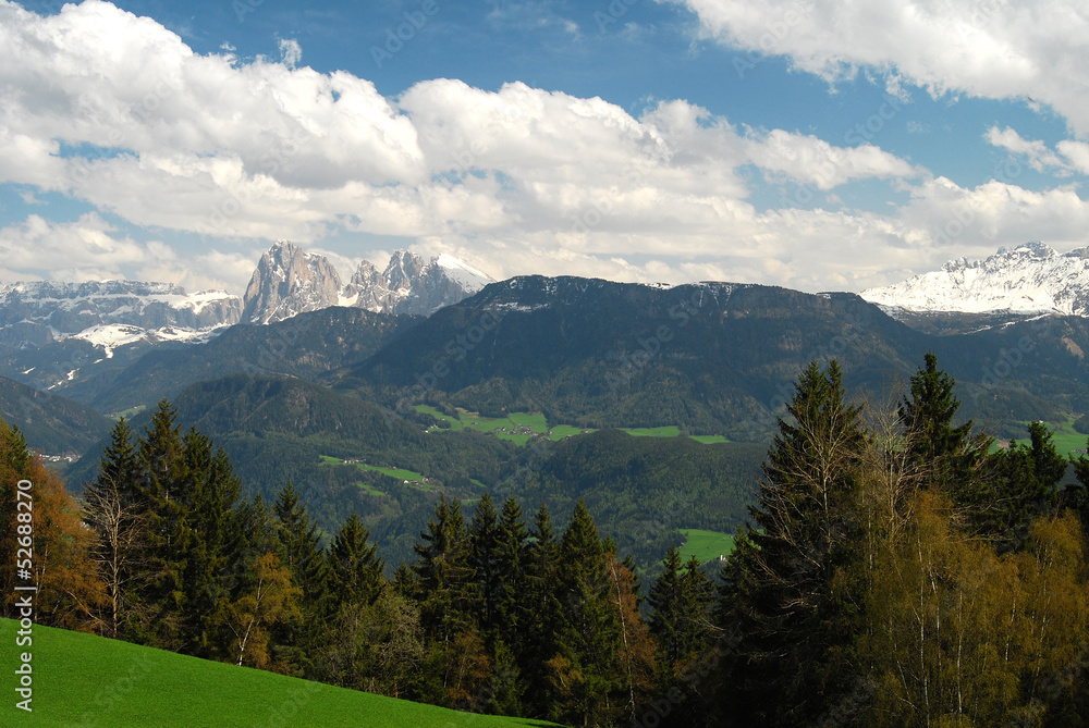 Fototapeta premium Südtirol